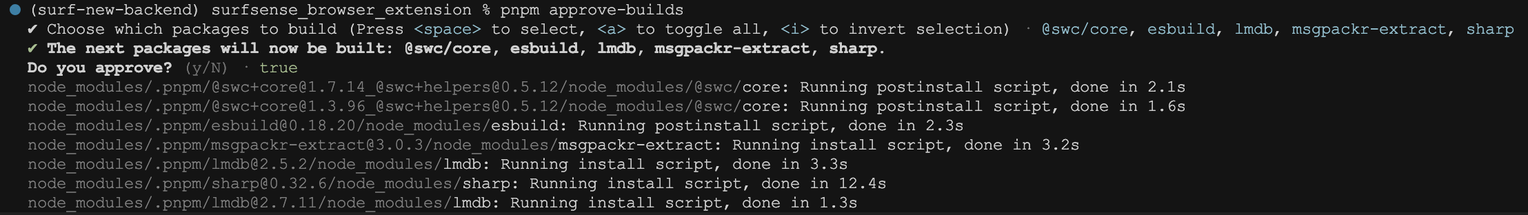 pnpm-approve-builds.png