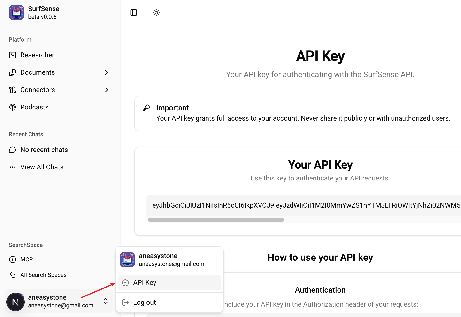 surfsense-api-key.png