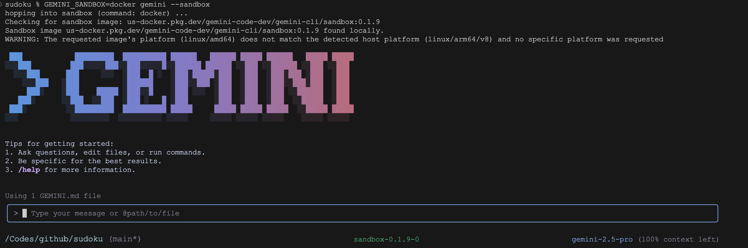 gemini-cli-sandbox.png