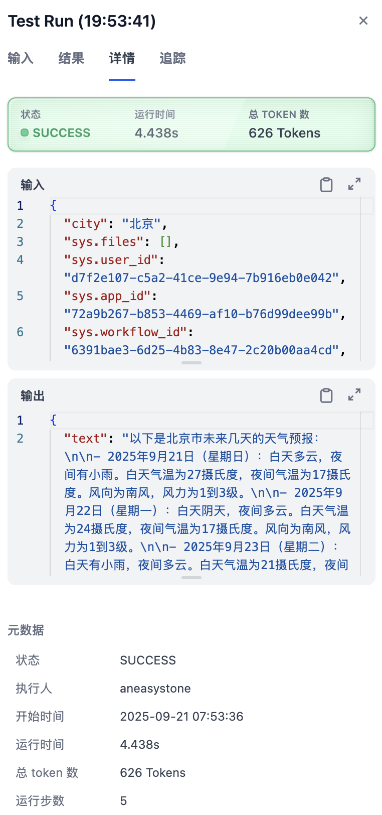 workflow-output-detail.png