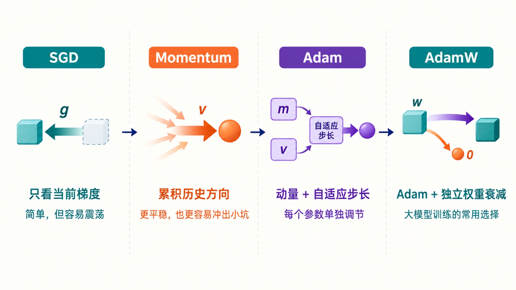optimizer-evolution.jpg optimizer-evolution.jpg